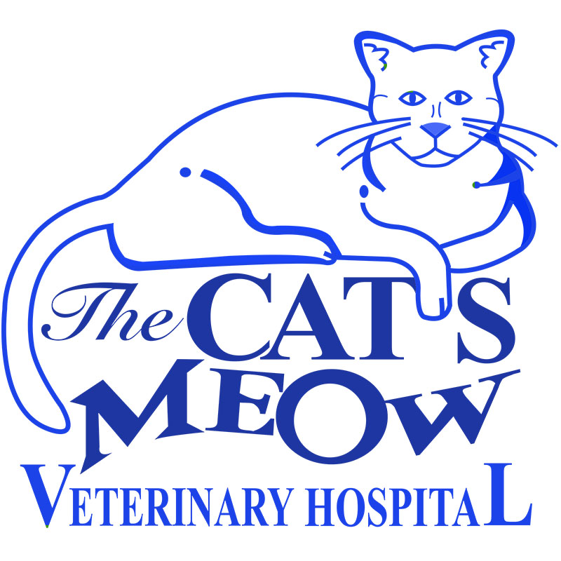 Click Here... The Cat's Meow <br />Veterinary Hospital